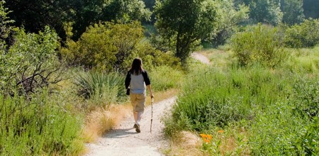 walking at moulin de larcy
