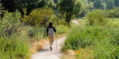 walking at moulin de larcy
